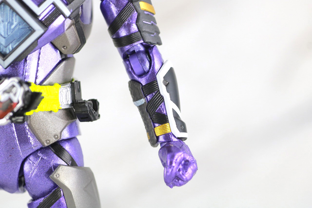 S.H.フィギュアーツ　仮面ライダー滅亡迅雷　レビュー　本体