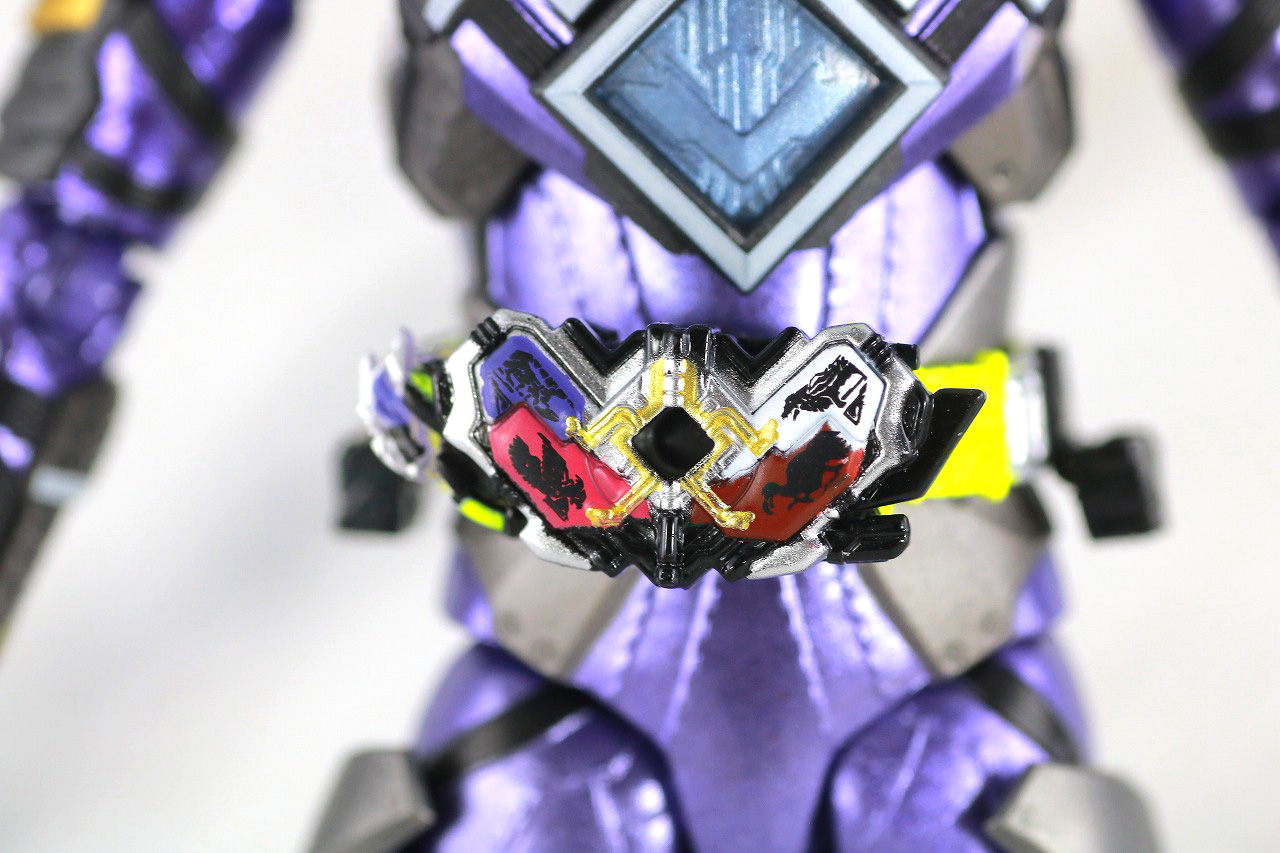 S.H.フィギュアーツ　仮面ライダー滅亡迅雷　レビュー　本体