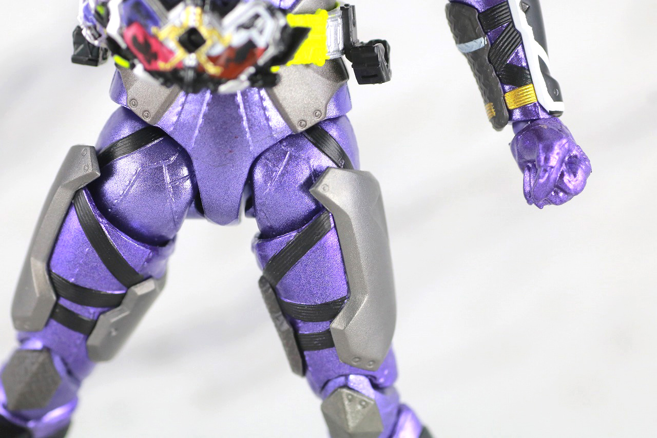 S.H.フィギュアーツ　仮面ライダー滅亡迅雷　レビュー　本体