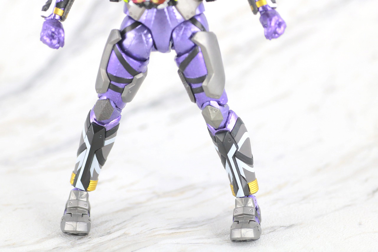 S.H.フィギュアーツ　仮面ライダー滅亡迅雷　レビュー　本体