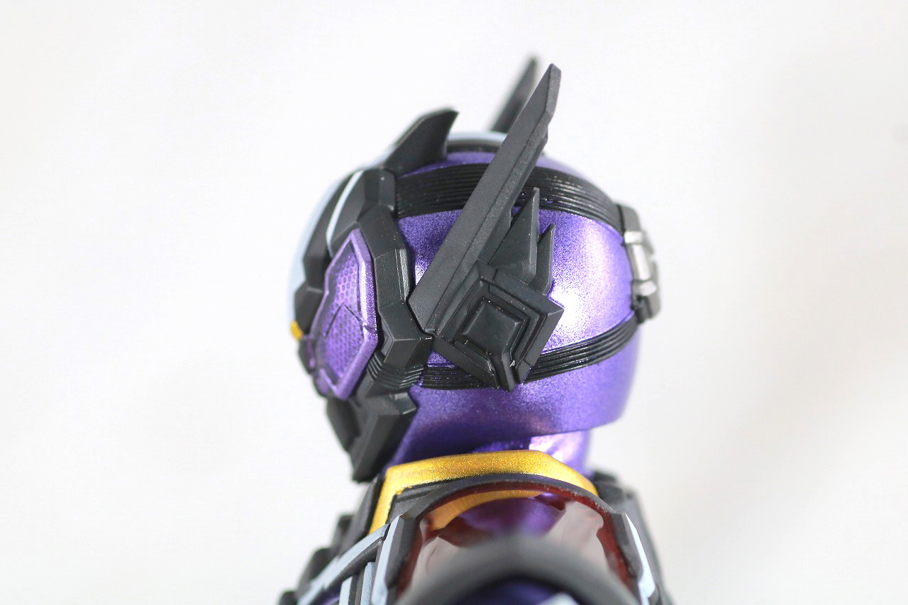 S.H.フィギュアーツ　仮面ライダー滅亡迅雷　レビュー　本体