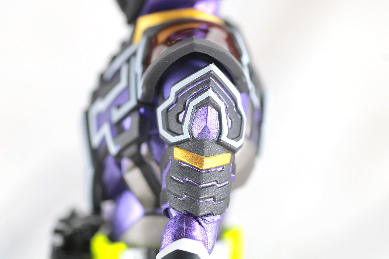 S.H.フィギュアーツ　仮面ライダー滅亡迅雷　レビュー　本体