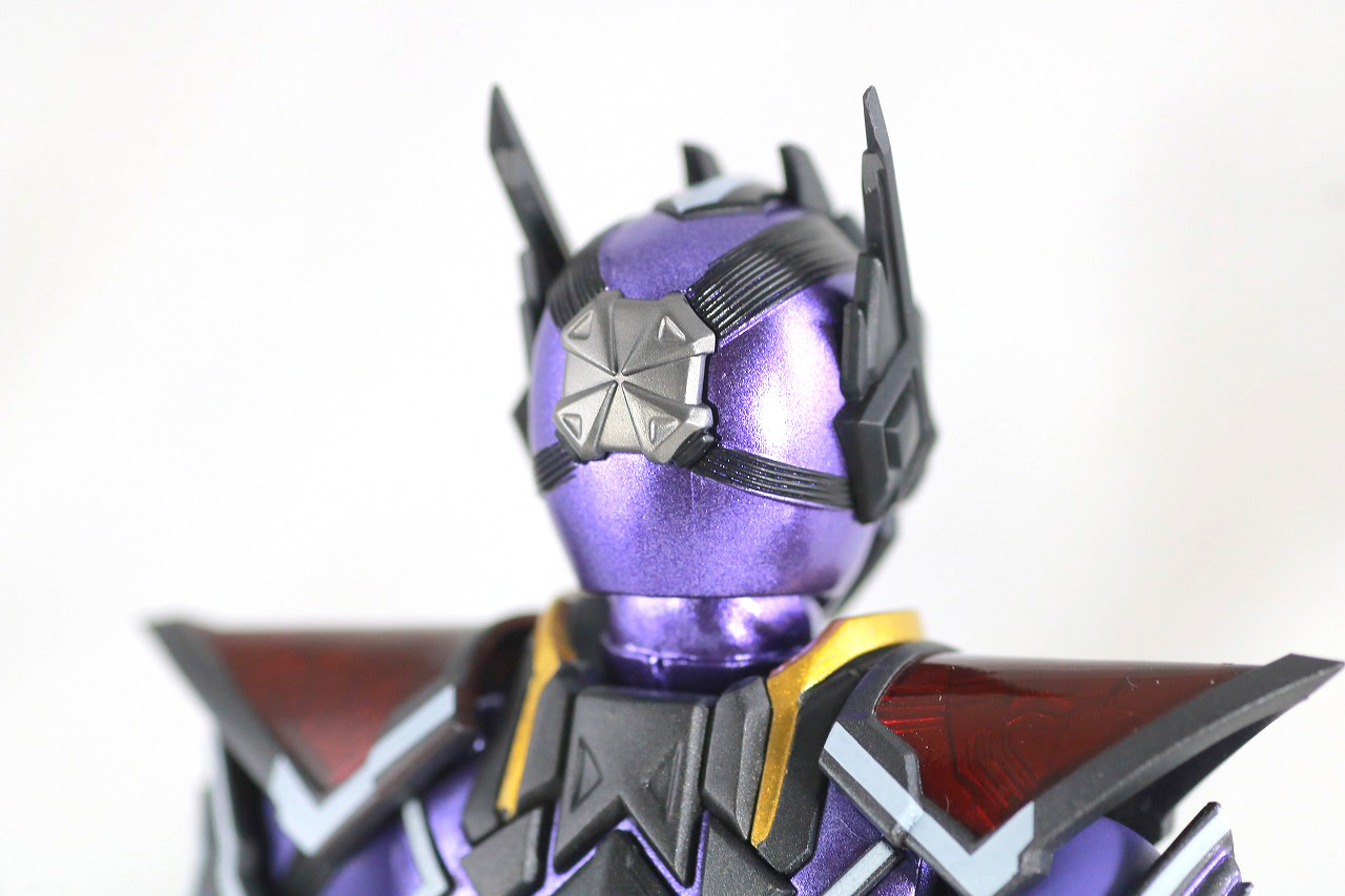 S.H.フィギュアーツ　仮面ライダー滅亡迅雷　レビュー　本体