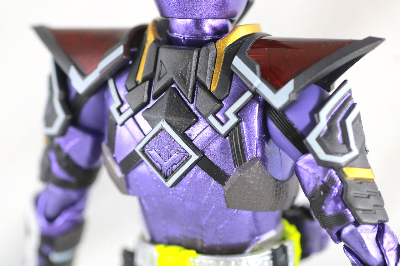 S.H.フィギュアーツ　仮面ライダー滅亡迅雷　レビュー　本体