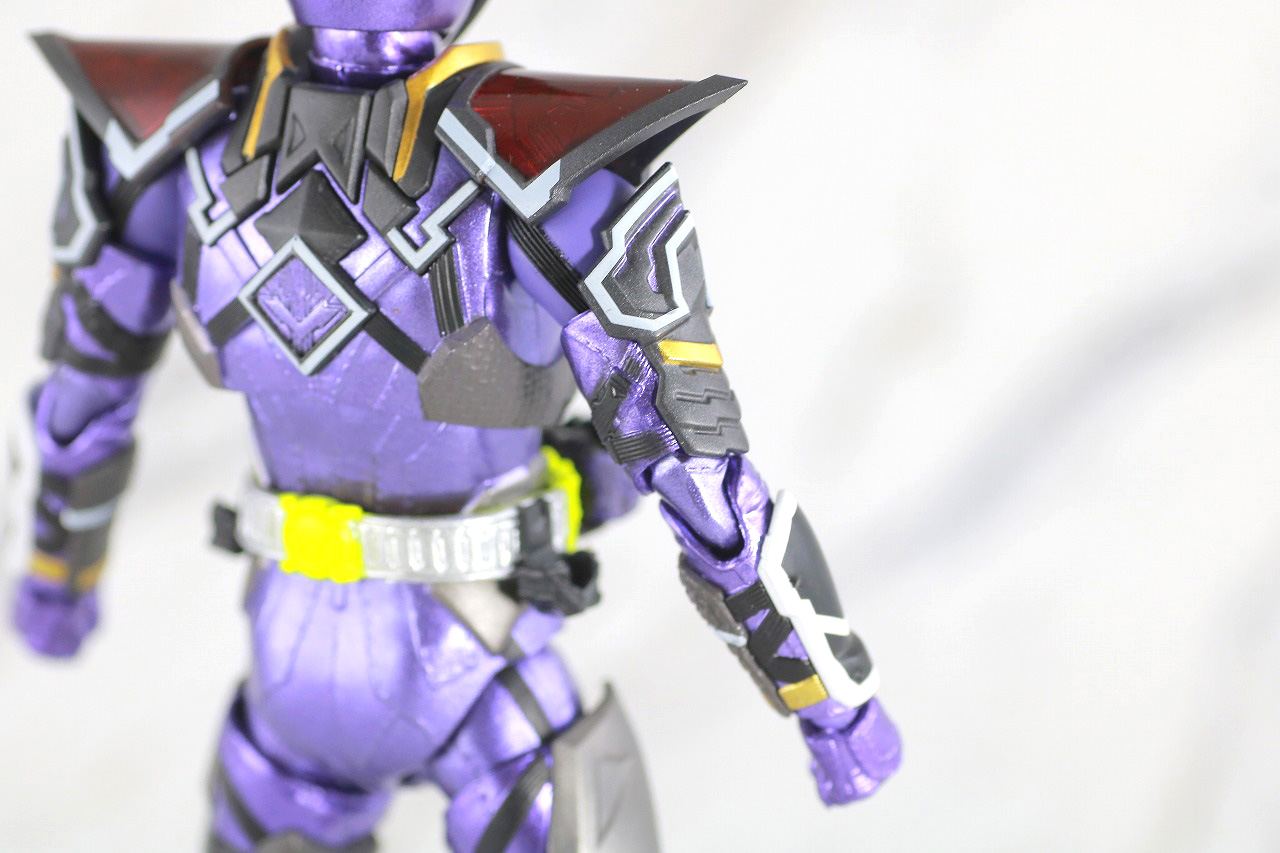 S.H.フィギュアーツ　仮面ライダー滅亡迅雷　レビュー　本体