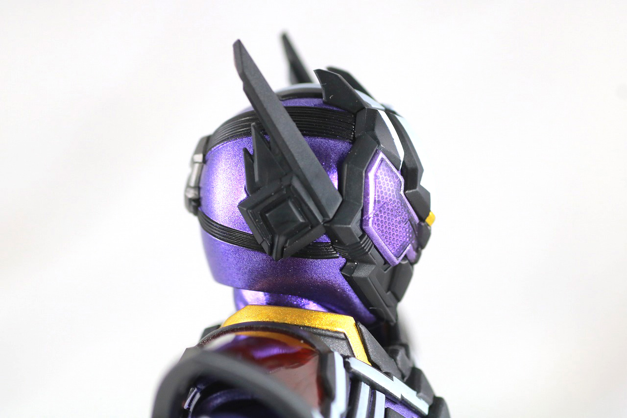 S.H.フィギュアーツ　仮面ライダー滅亡迅雷　レビュー　本体