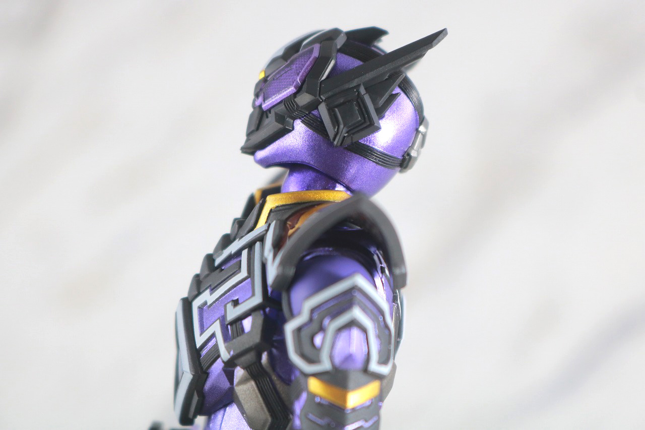 S.H.フィギュアーツ　仮面ライダー滅亡迅雷　レビュー　可動範囲