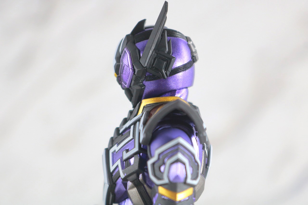 S.H.フィギュアーツ　仮面ライダー滅亡迅雷　レビュー　可動範囲