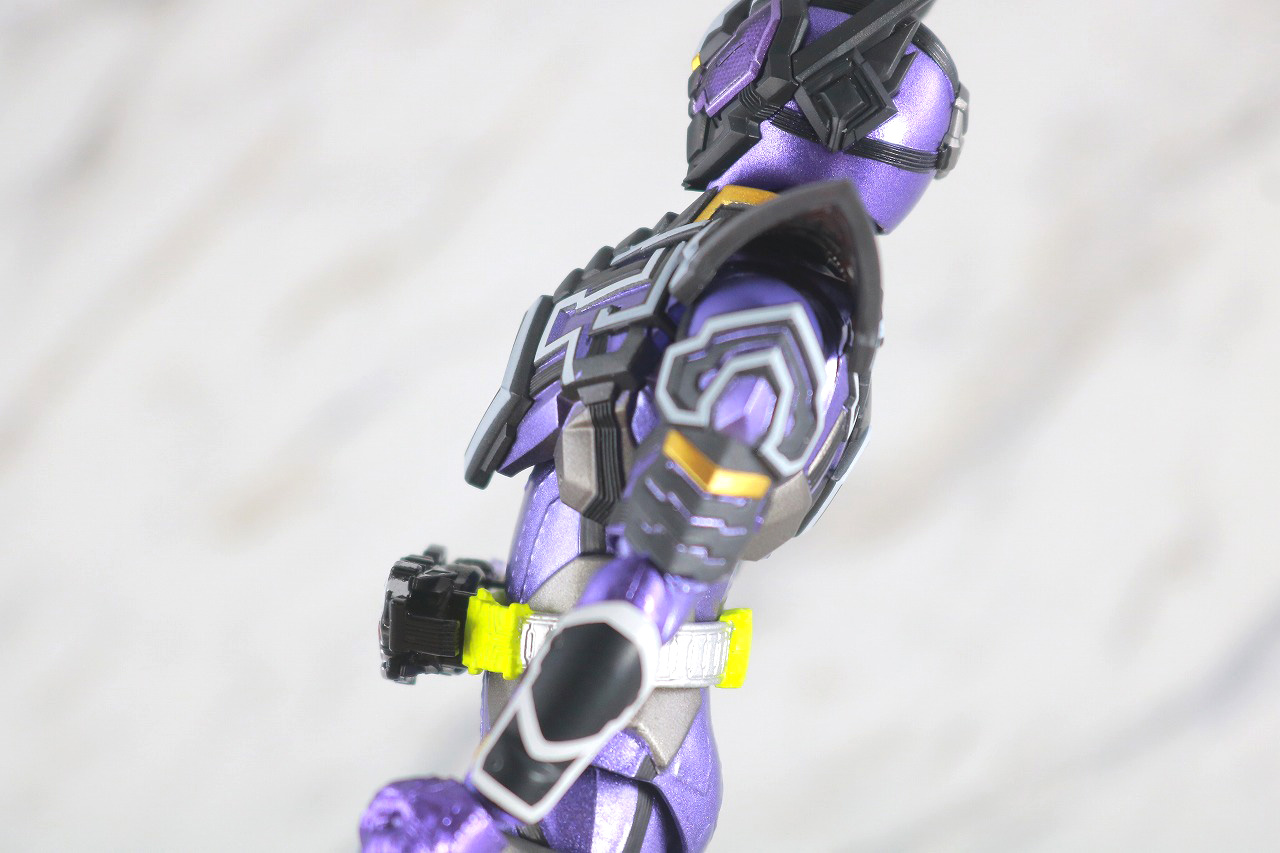 S.H.フィギュアーツ　仮面ライダー滅亡迅雷　レビュー　可動範囲