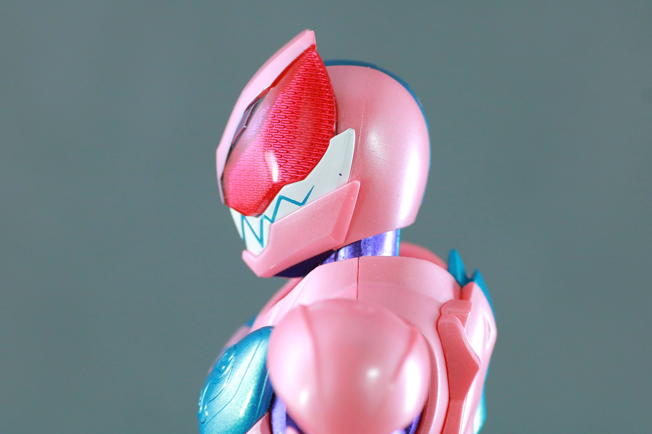 S.H.フィギュアーツ　仮面ライダーリバイ　レックスゲノム　レビュー　本体