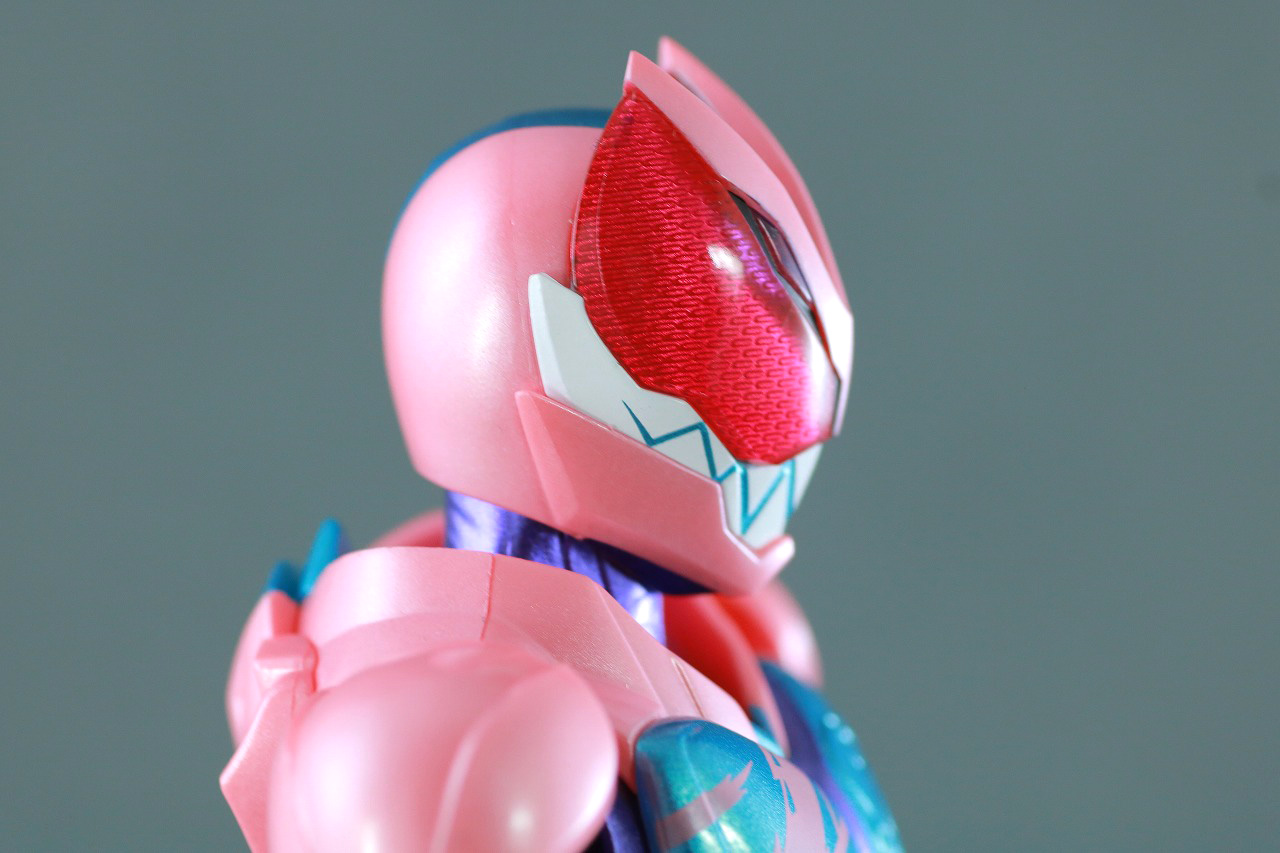 S.H.フィギュアーツ　仮面ライダーリバイ　レックスゲノム　レビュー　本体