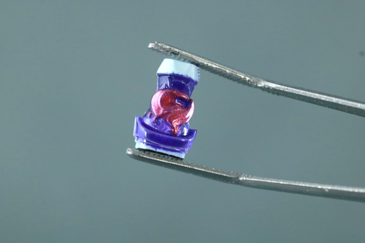 S.H.フィギュアーツ　仮面ライダーリバイ　レックスゲノム　レビュー　本体