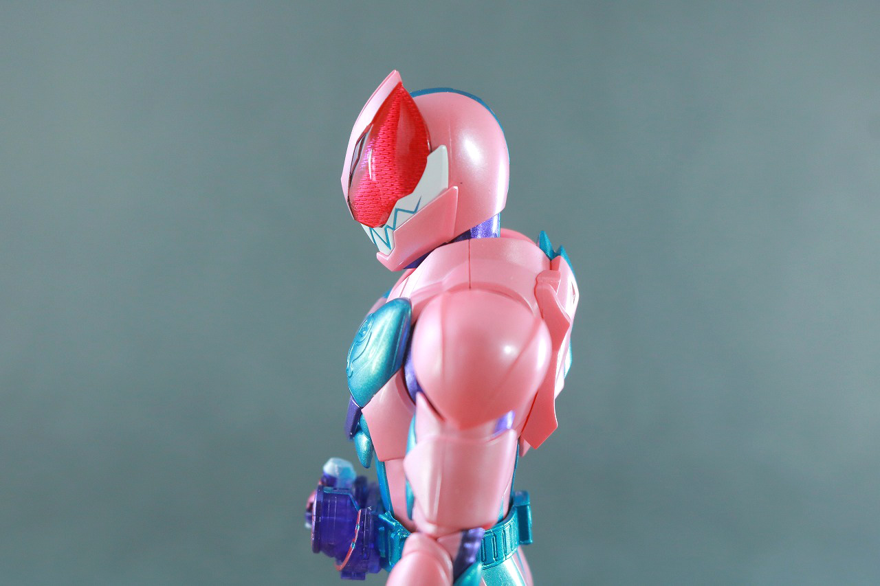 S.H.フィギュアーツ　仮面ライダーリバイ　レックスゲノム　レビュー　可動範囲