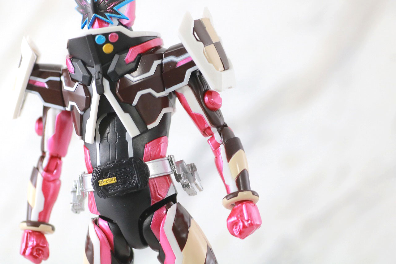 S.H.フィギュアーツ　仮面ライダーバルキリー　ジャスティスサーバル　レビュー　本体
