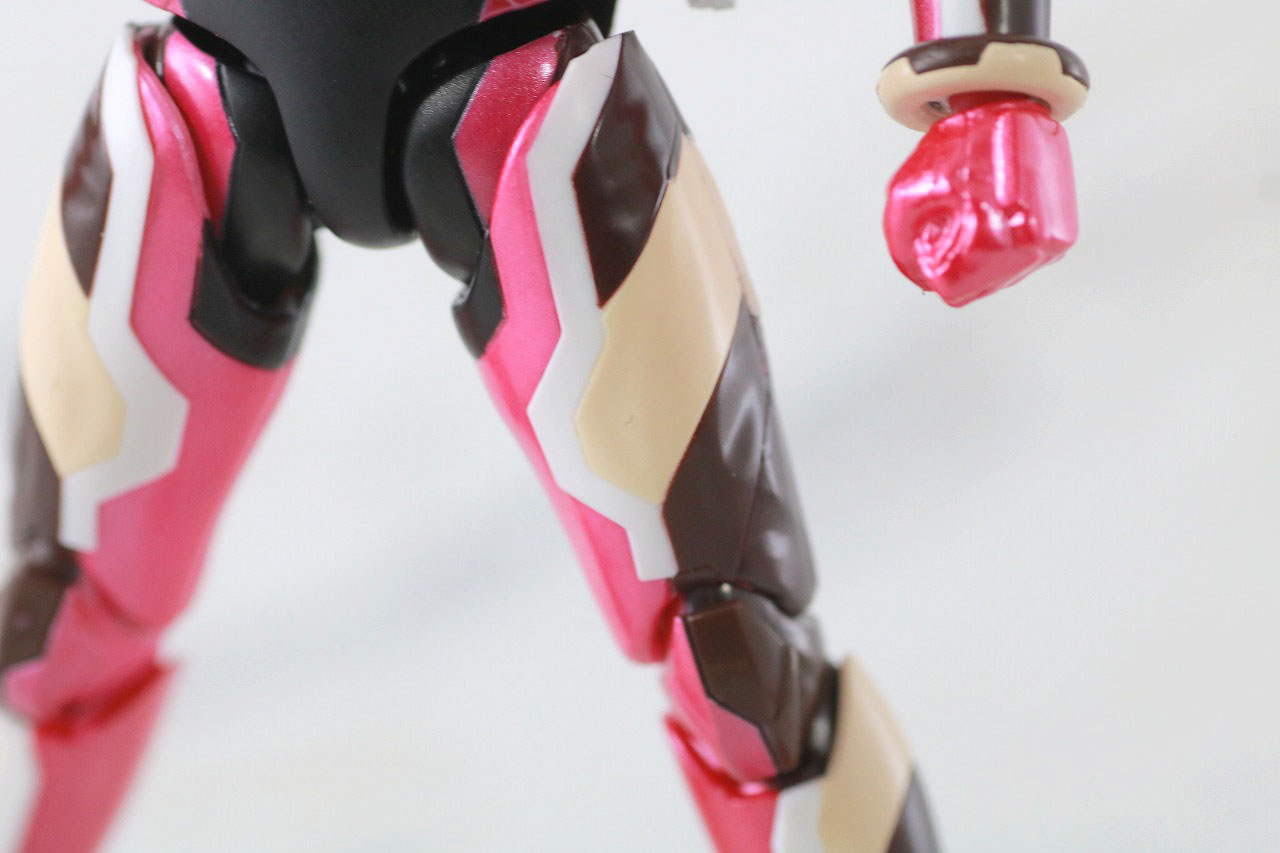 S.H.フィギュアーツ　仮面ライダーバルキリー　ジャスティスサーバル　レビュー　本体