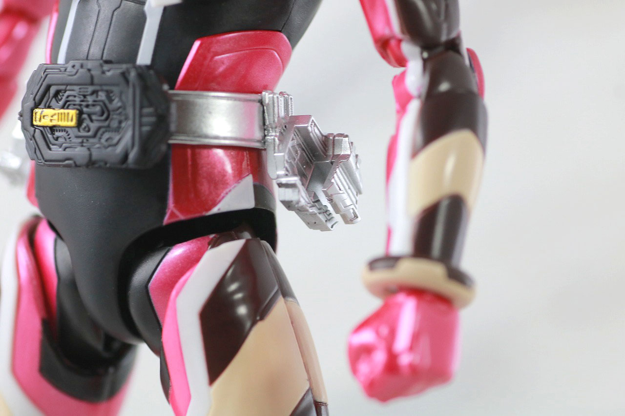 S.H.フィギュアーツ　仮面ライダーバルキリー　ジャスティスサーバル　レビュー　本体