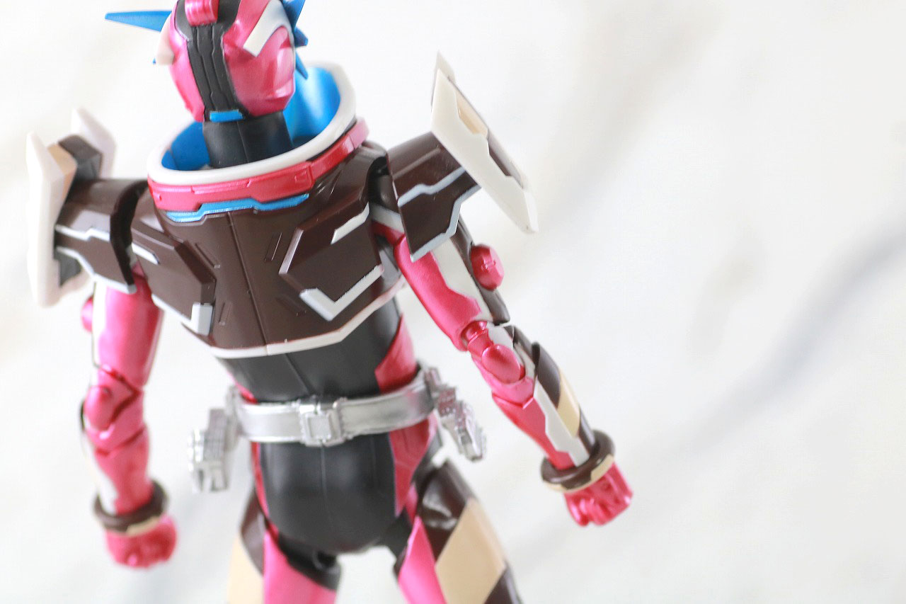S.H.フィギュアーツ　仮面ライダーバルキリー　ジャスティスサーバル　レビュー　本体