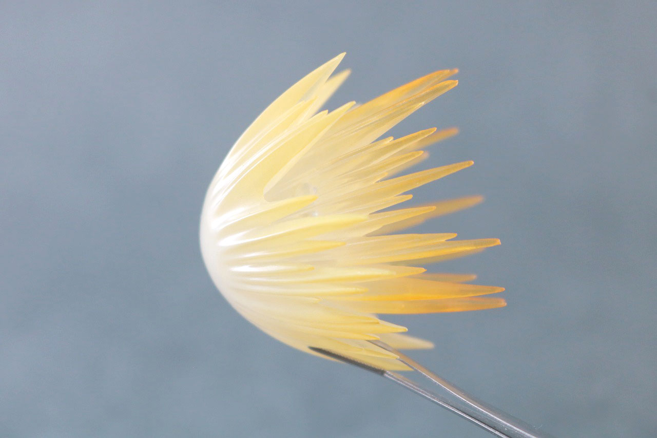 S.H.フィギュアーツ　ウルトラマンティガ パワータイプ　真骨彫製法　レビュー　付属品　デラシウム光流　エフェクト