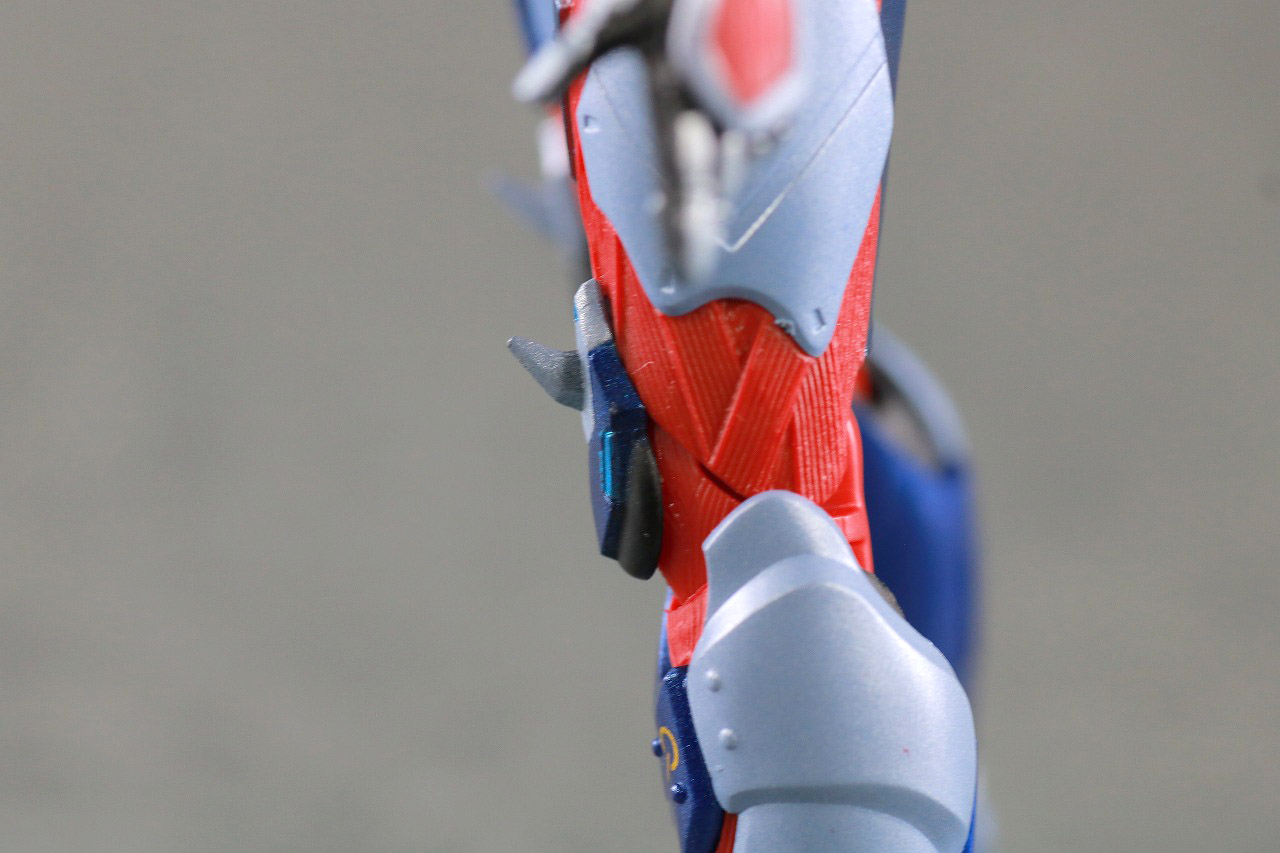 S.H.フィギュアーツ　仮面ライダーデモンズ　スパイダーゲノム　レビュー　本体