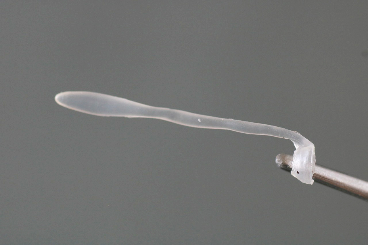 S.H.フィギュアーツ　アイアン・スパイダー（『スパイダーマン：ノー・ウェイ・ホーム』）　レビュー　付属品　ウェブ　長