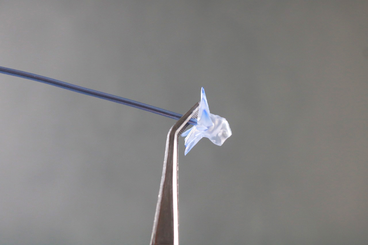 S.H.フィギュアーツ　カルミラ　レビュー　付属品　カルミラウィップ