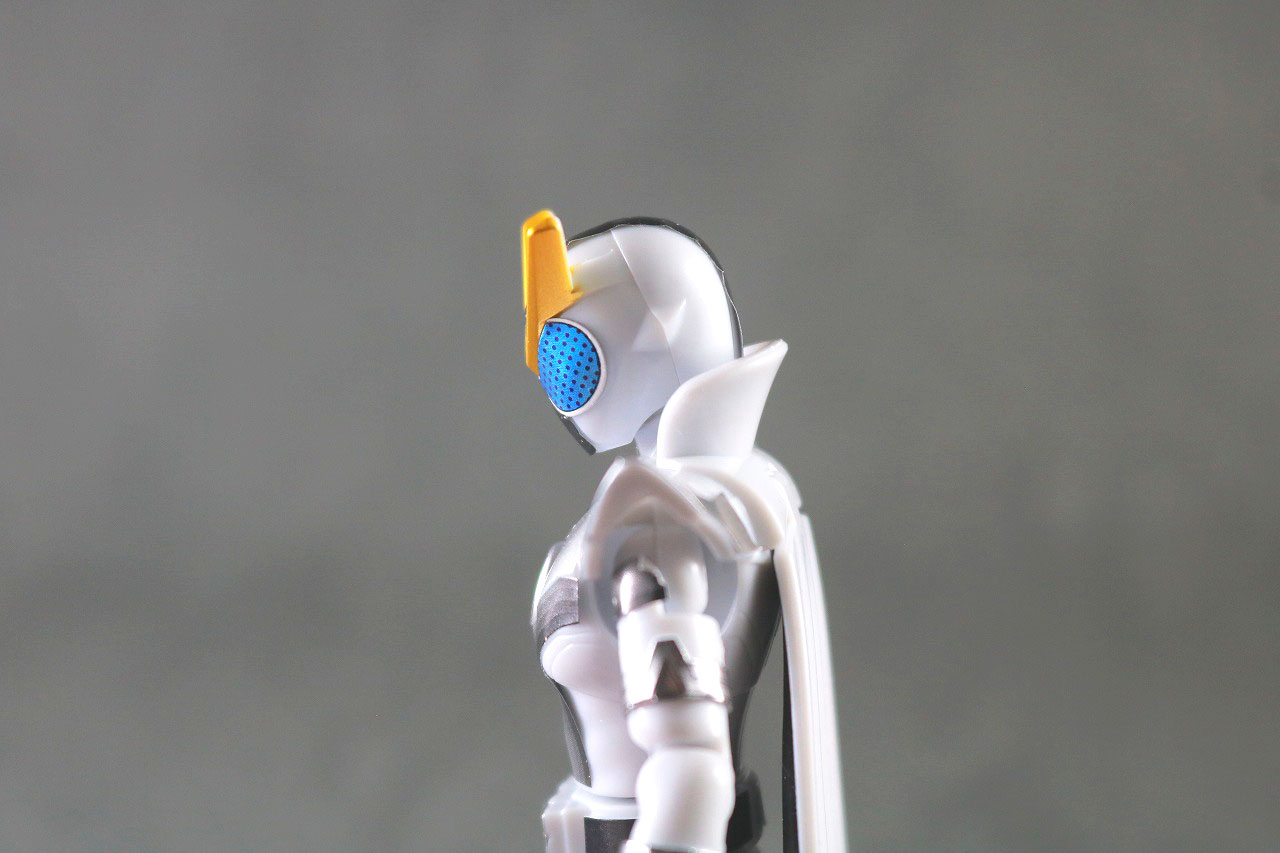 勇動 暴太郎戦隊ドンブラザーズ1 ゼンカイザーブラック 可動範囲