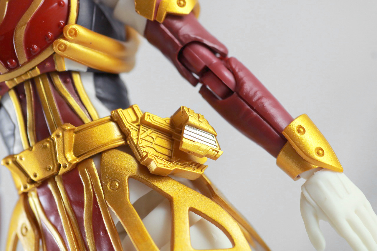 S.H.フィギュアーツ　仮面ライダーサーベラ　昆虫大百科　レビュー　本体