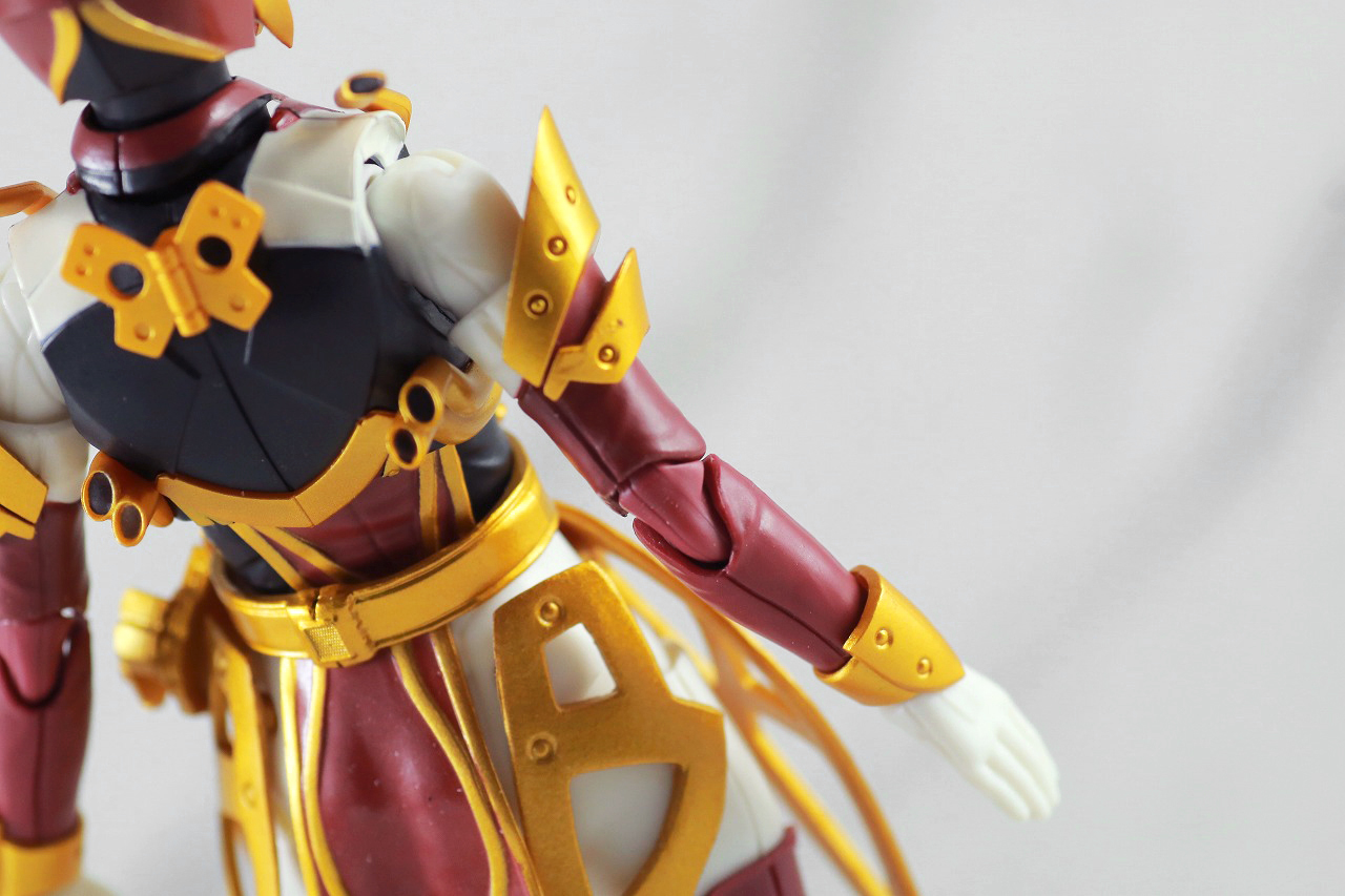 S.H.フィギュアーツ　仮面ライダーサーベラ　昆虫大百科　レビュー　本体