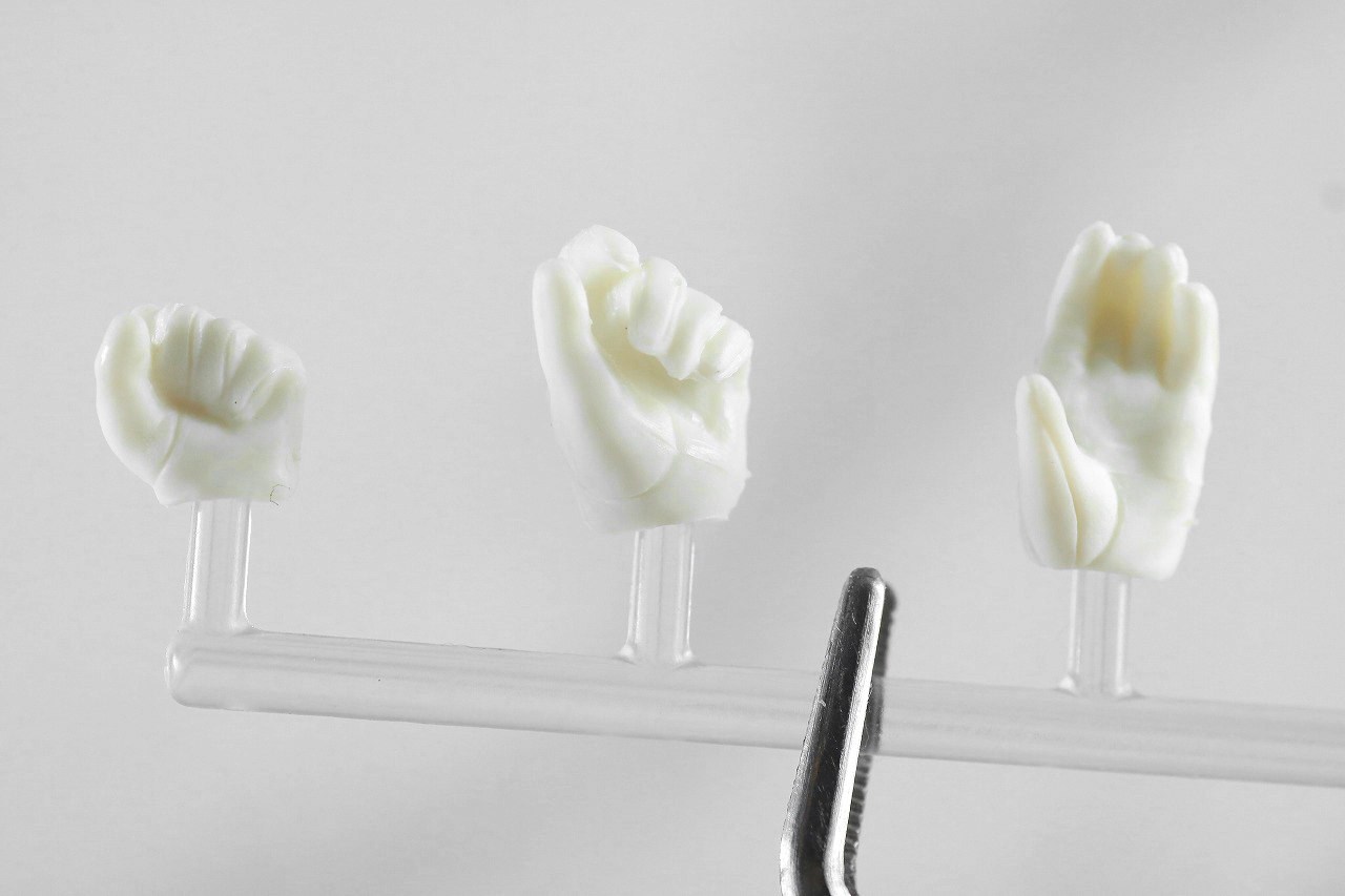 S.H.フィギュアーツ　仮面ライダーサーベラ　昆虫大百科　レビュー　付属品　手首