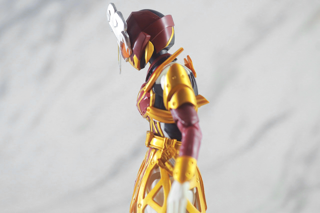 S.H.フィギュアーツ　仮面ライダーサーベラ　昆虫大百科　レビュー　可動範囲