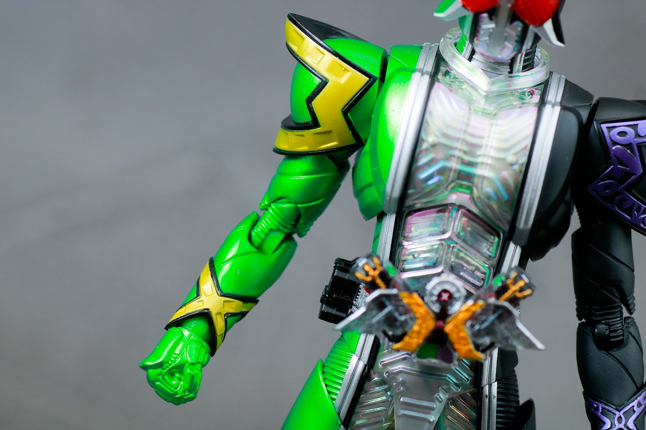 S.H.フィギュアーツ　仮面ライダーW サイクロンジョーカーエクストリーム　真骨彫製法　レビュー　本体