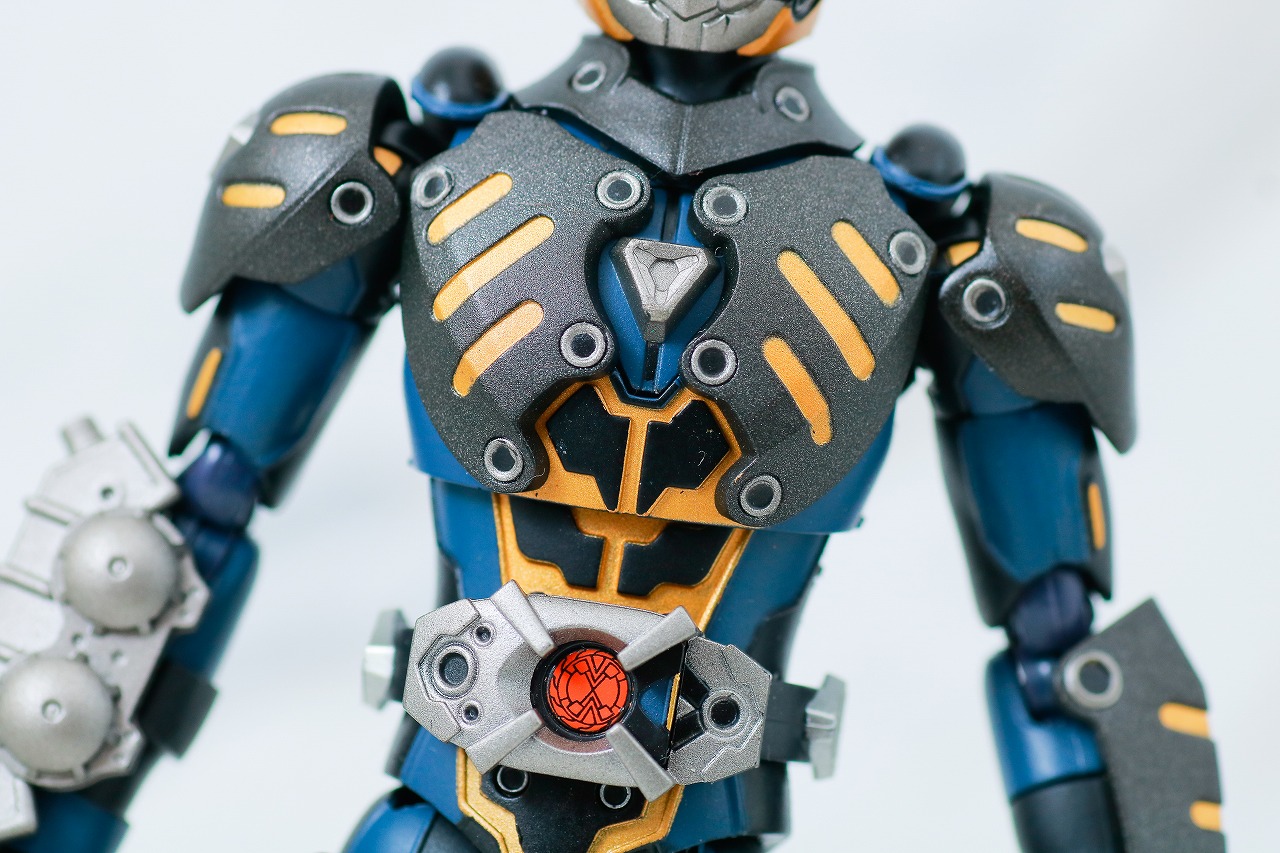 S.H.フィギュアーツ　オルタナティブ　レビュー　本体