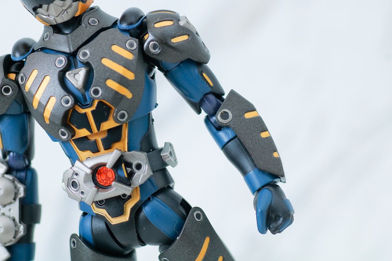 S.H.フィギュアーツ　オルタナティブ　レビュー　本体