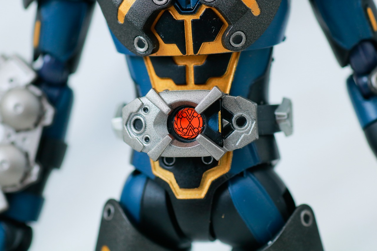 S.H.フィギュアーツ　オルタナティブ　レビュー　本体