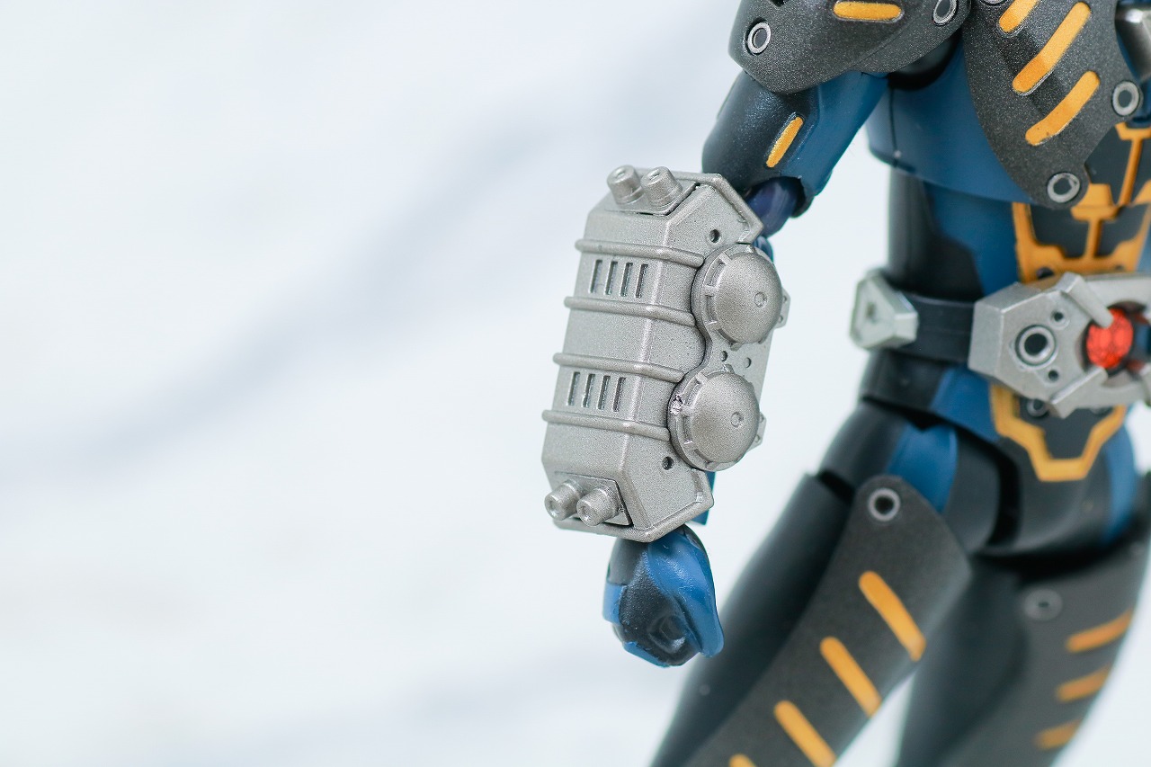 S.H.フィギュアーツ　オルタナティブ　レビュー　本体