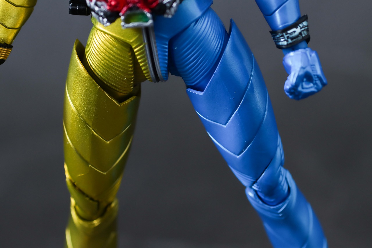 S.H.フィギュアーツ　仮面ライダーW ルナトリガー　真骨彫製法　風都探偵アニメ化記念　レビュー　本体