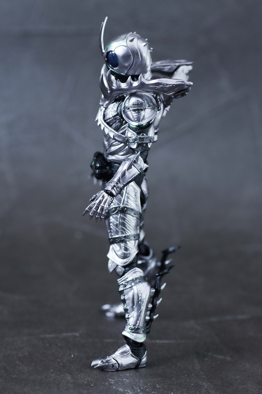 S.H.フィギュアーツ　仮面ライダーSHADOW MOON　レビュー　本体　