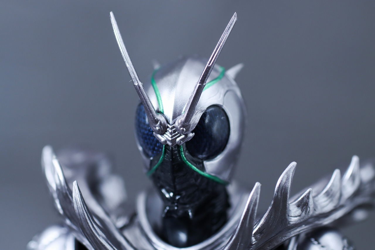 S.H.フィギュアーツ　仮面ライダーSHADOW MOON　レビュー　本体　