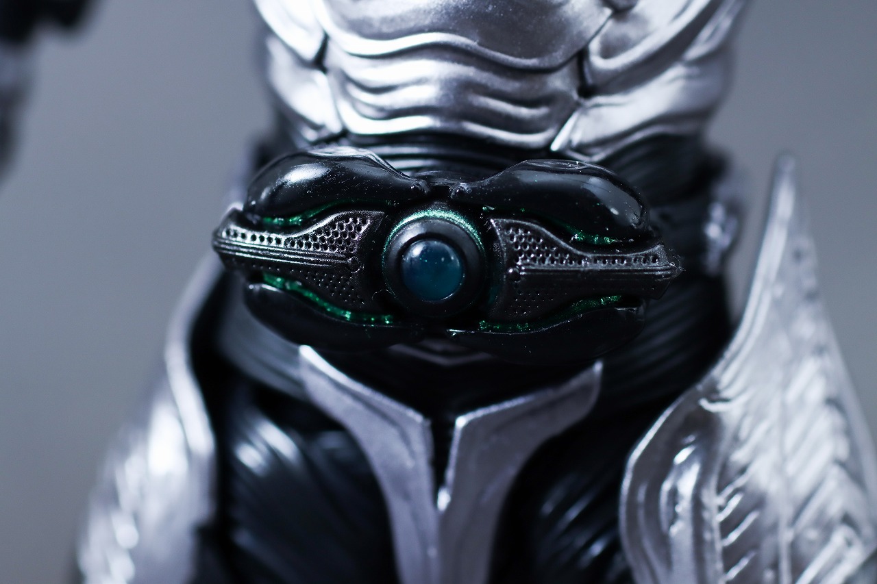 S.H.フィギュアーツ　仮面ライダーSHADOW MOON　レビュー　本体