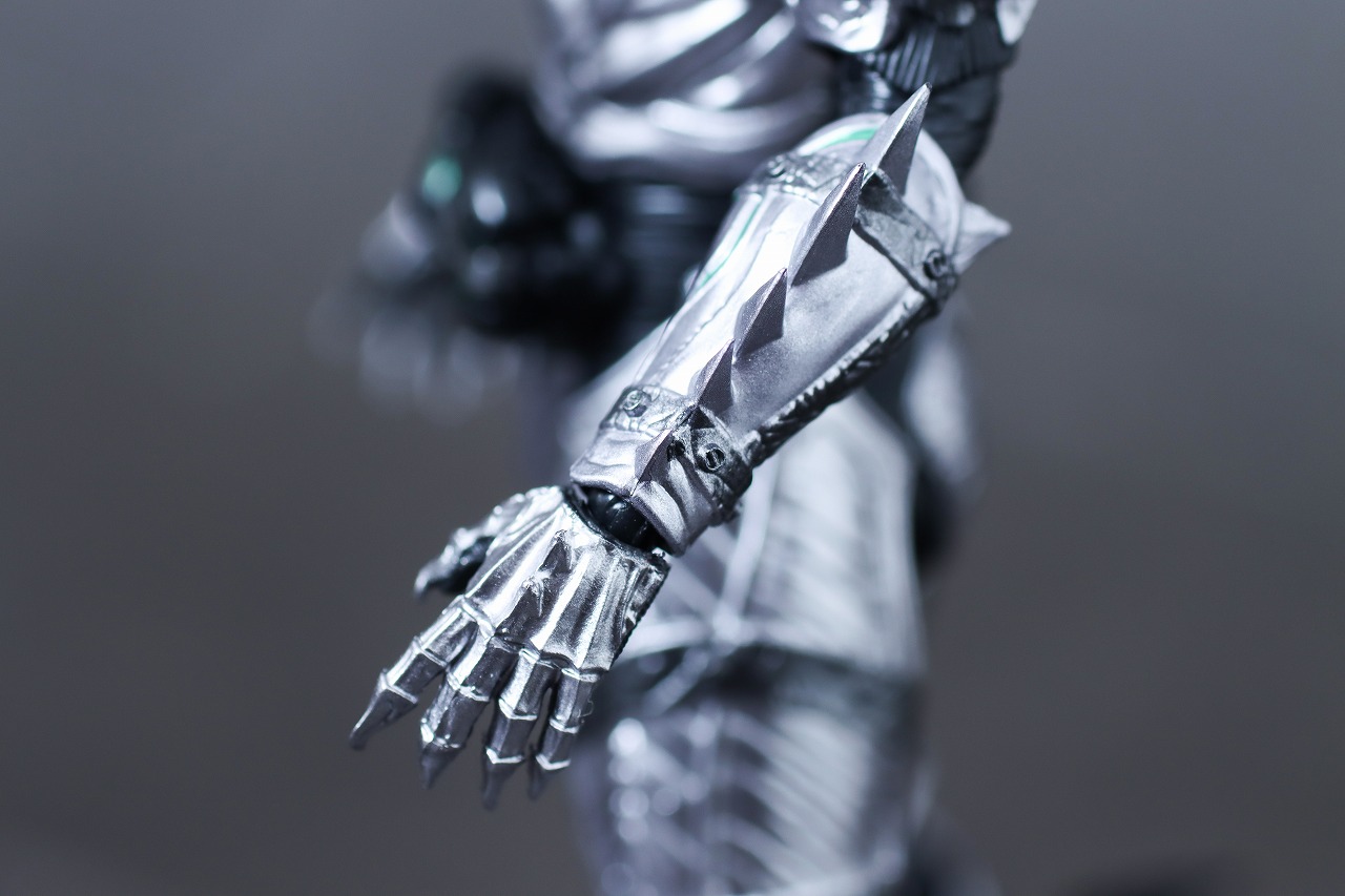 S.H.フィギュアーツ　仮面ライダーSHADOW MOON　レビュー　本体　