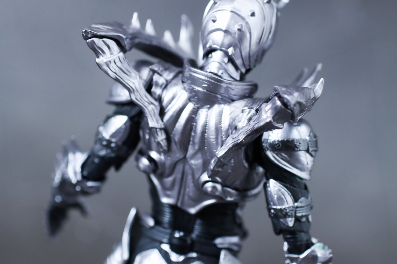 S.H.フィギュアーツ　仮面ライダーSHADOW MOON　レビュー　本体　