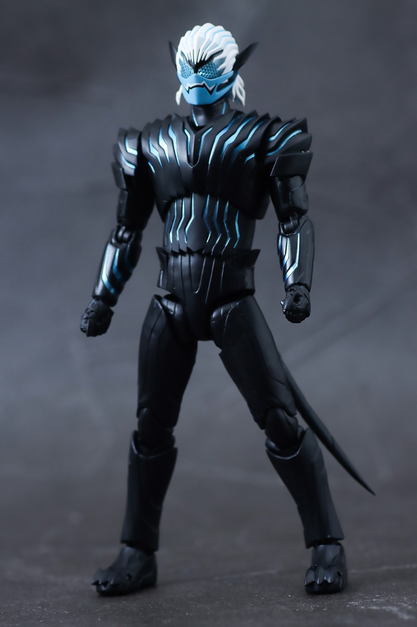 S.H.フィギュアーツ　バイス　レビュー　本体