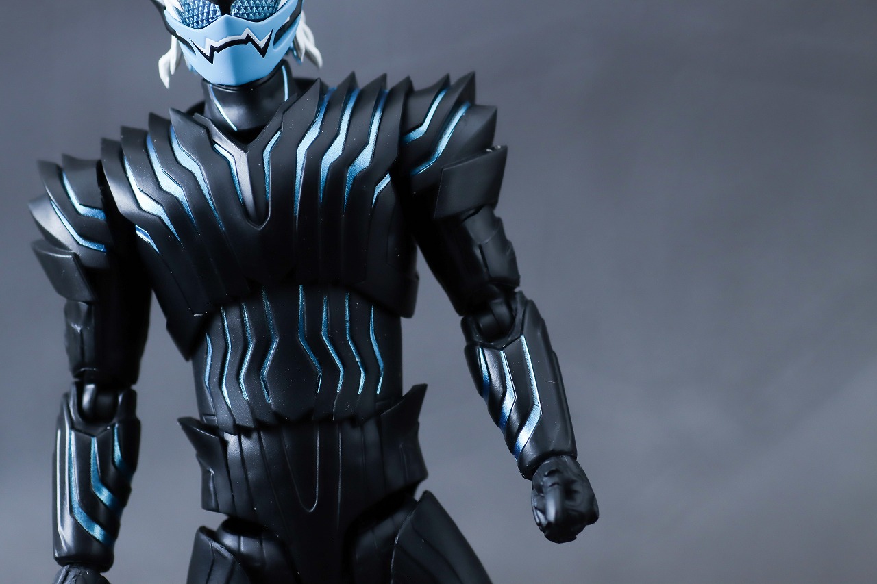 S.H.フィギュアーツ　バイス　レビュー　本体