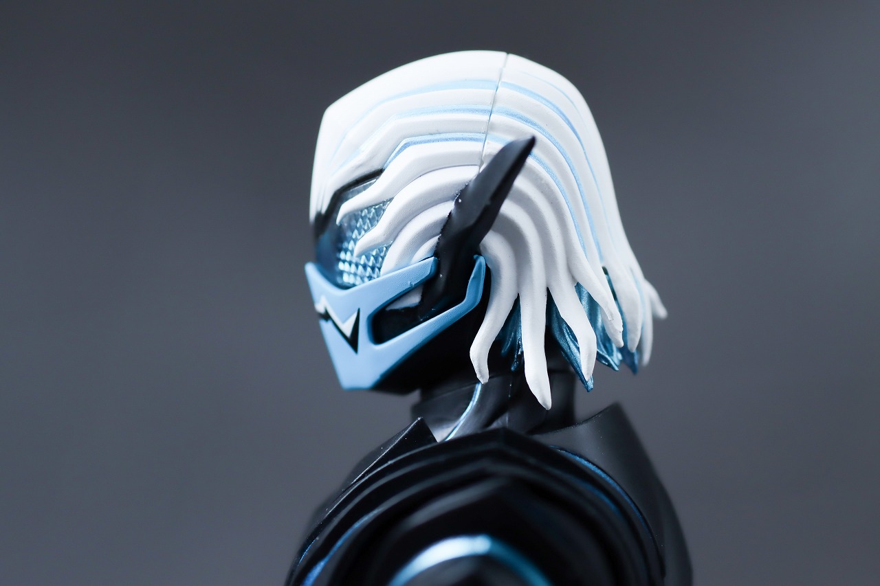 S.H.フィギュアーツ　バイス　レビュー　本体