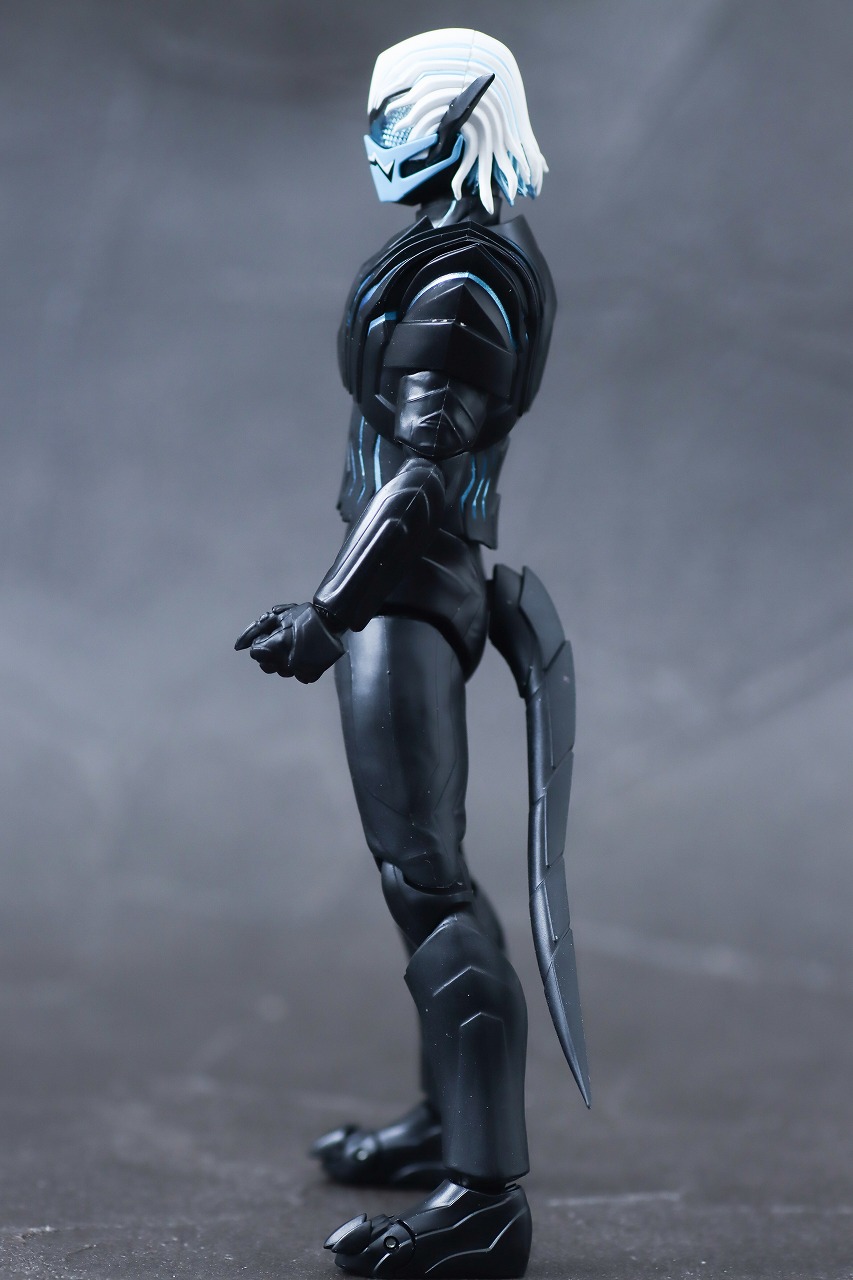 S.H.フィギュアーツ　バイス　レビュー　本体