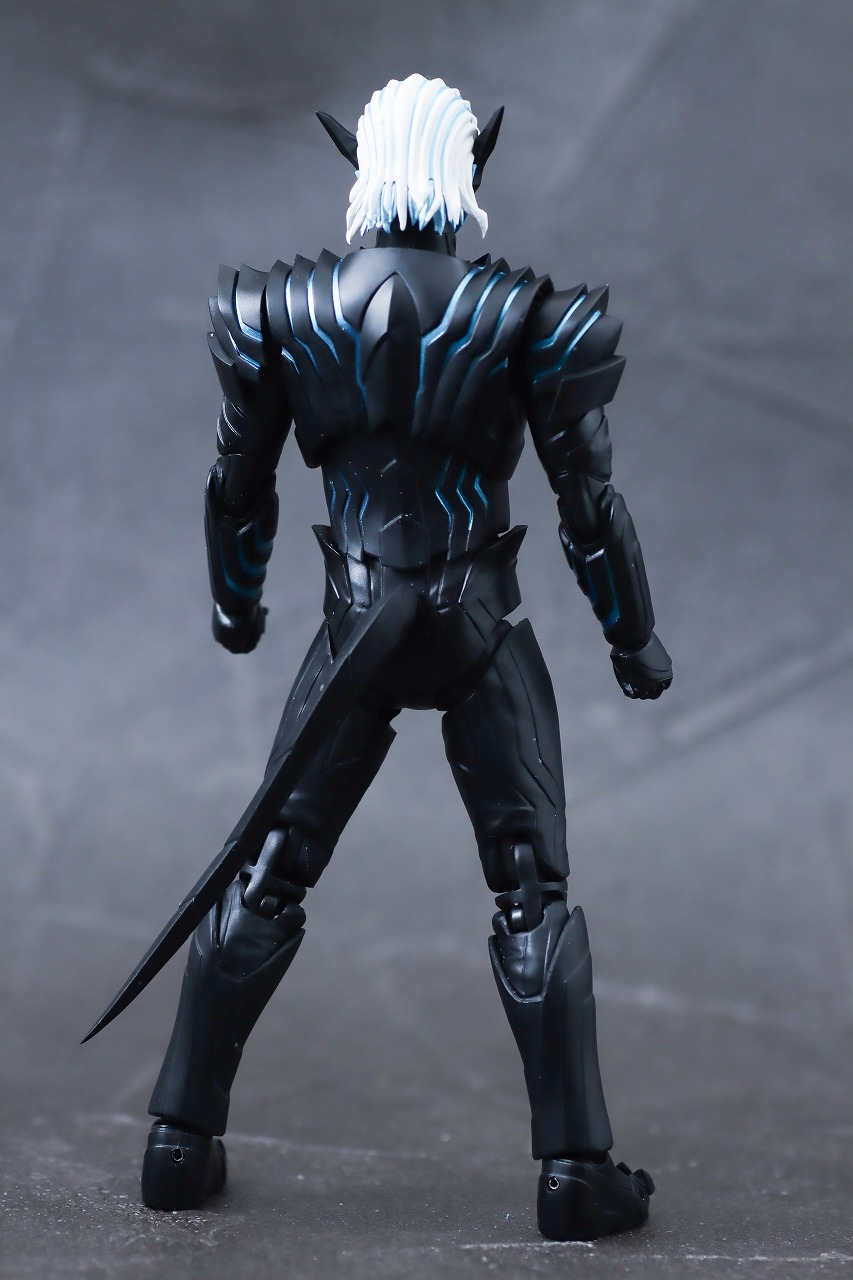 S.H.フィギュアーツ　バイス　レビュー　本体