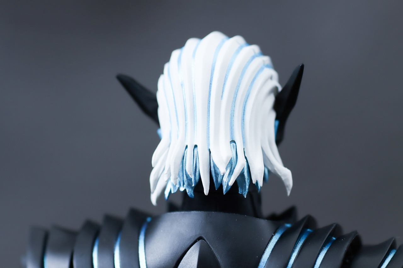 S.H.フィギュアーツ　バイス　レビュー　本体