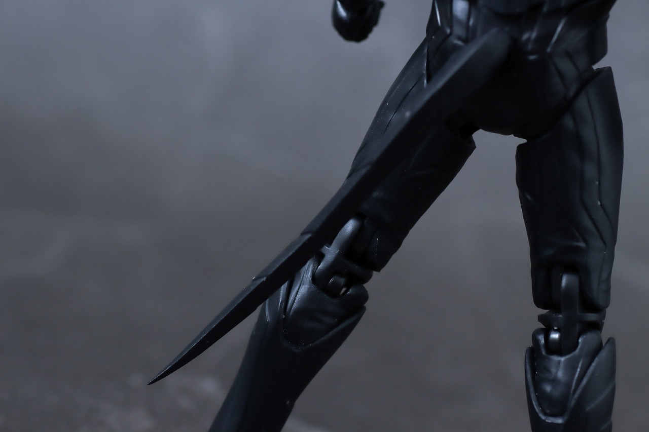 S.H.フィギュアーツ　バイス　レビュー　本体