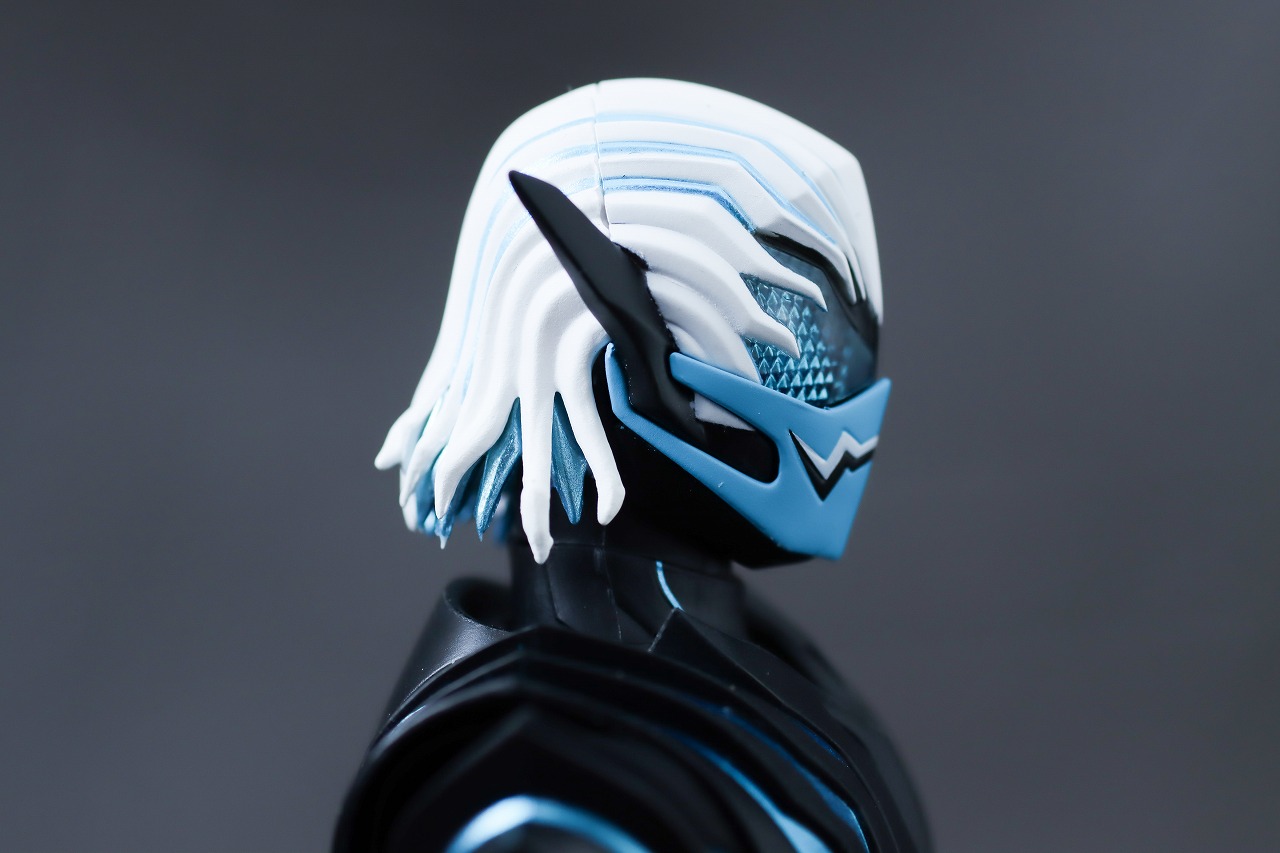 S.H.フィギュアーツ　バイス　レビュー　本体