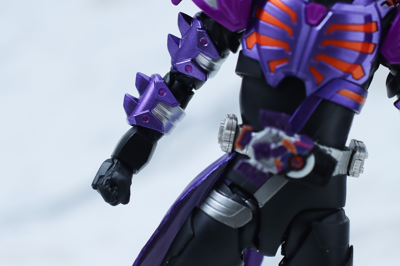 S.H.フィギュアーツ　仮面ライダーバッファ ゾンビフォーム　レビュー　本体